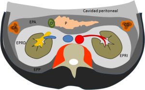 Navarro Sanchis et a. SERAM 2012 - S0131.